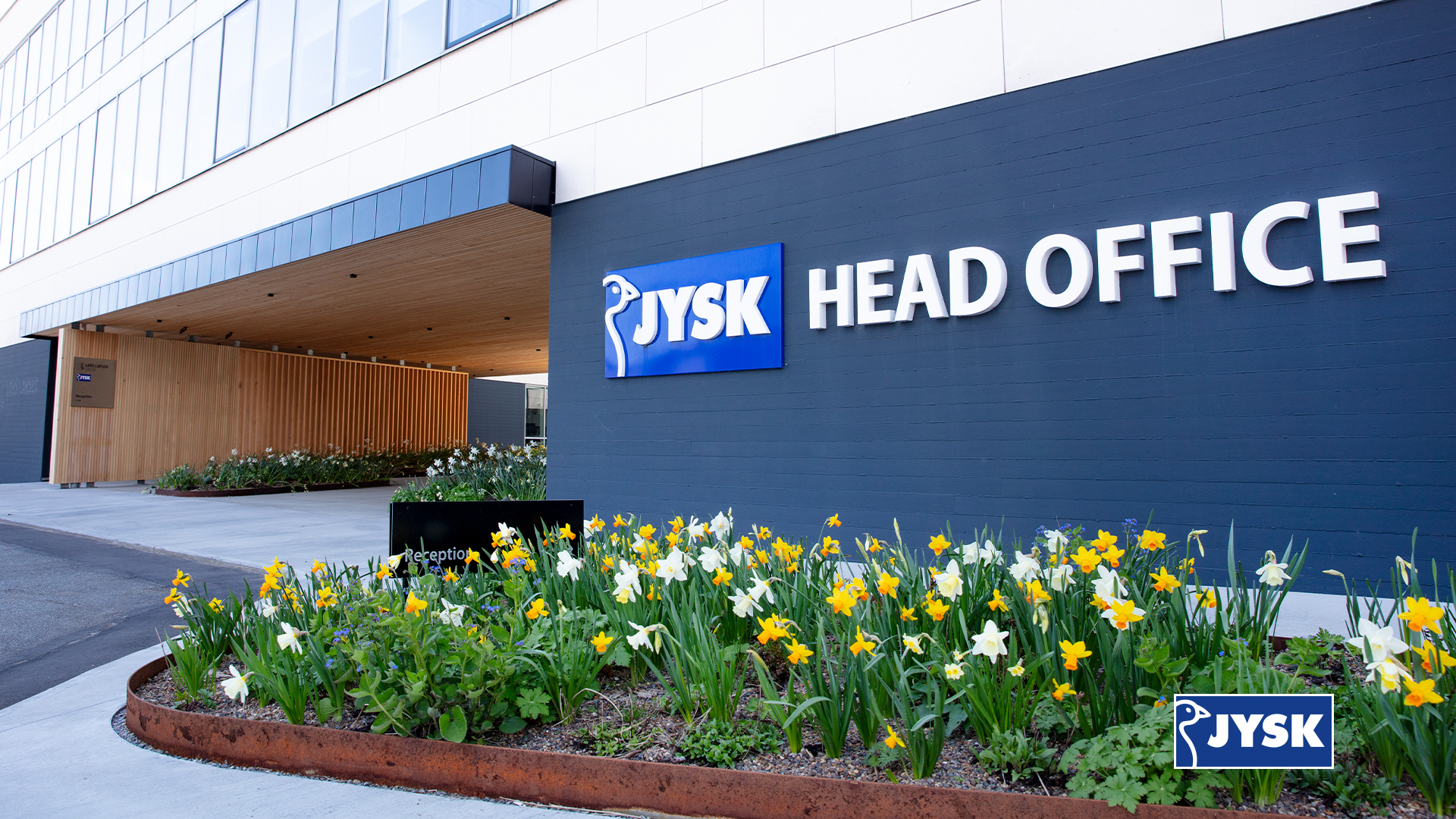 Background for Microsoft Teams JYSK Blue Line